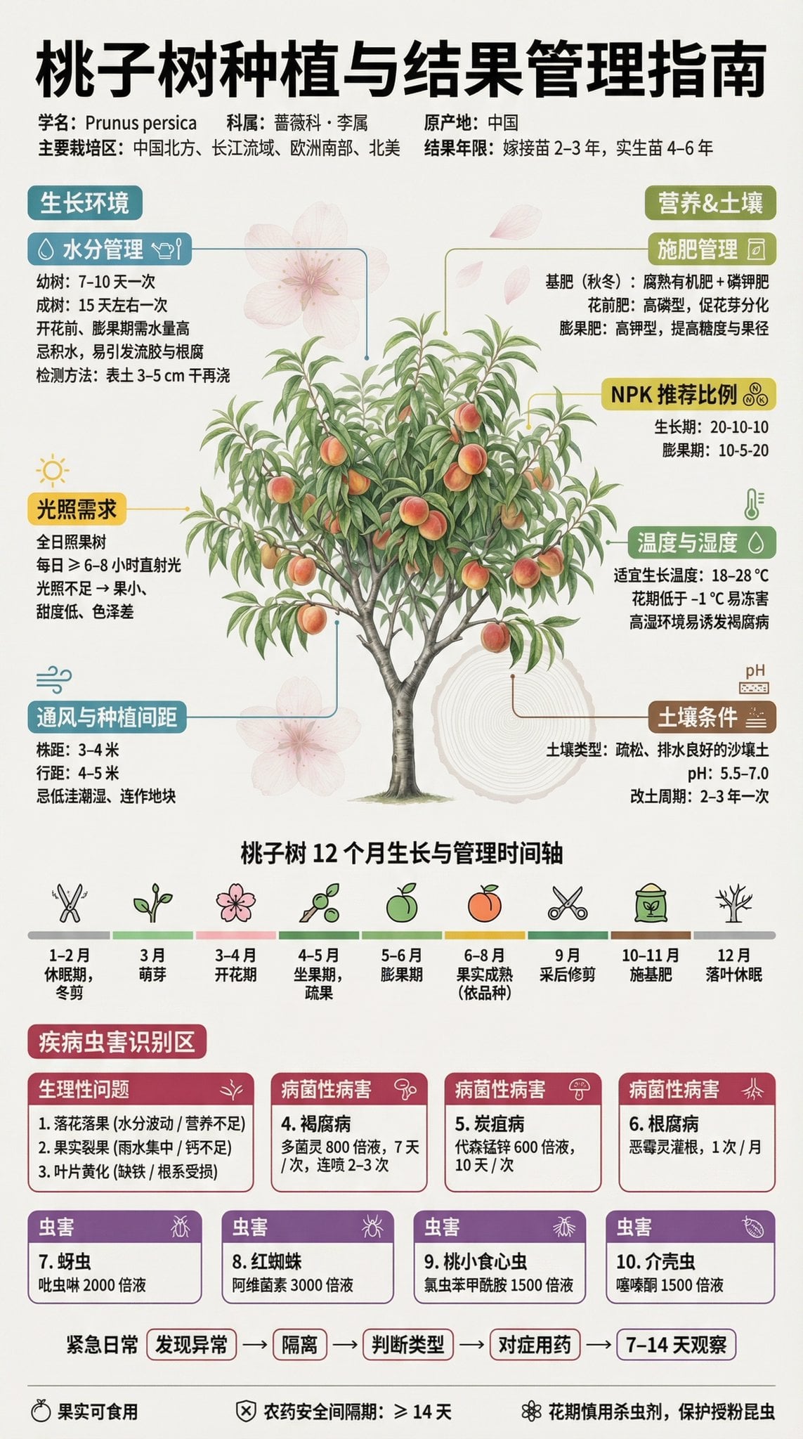 果树种植与结果管理科普展板 (2)