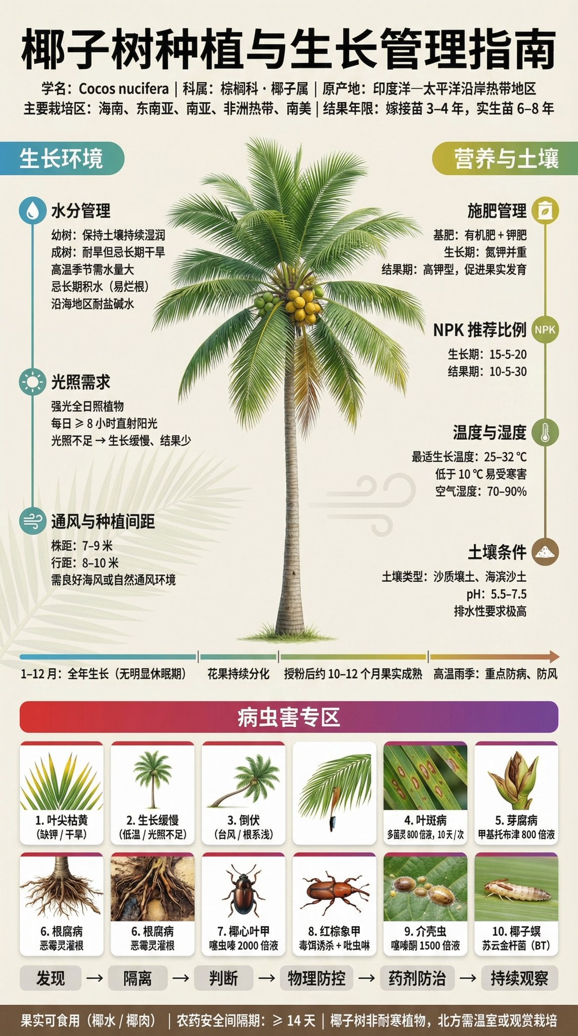 果树种植与结果管理科普展板 (3)