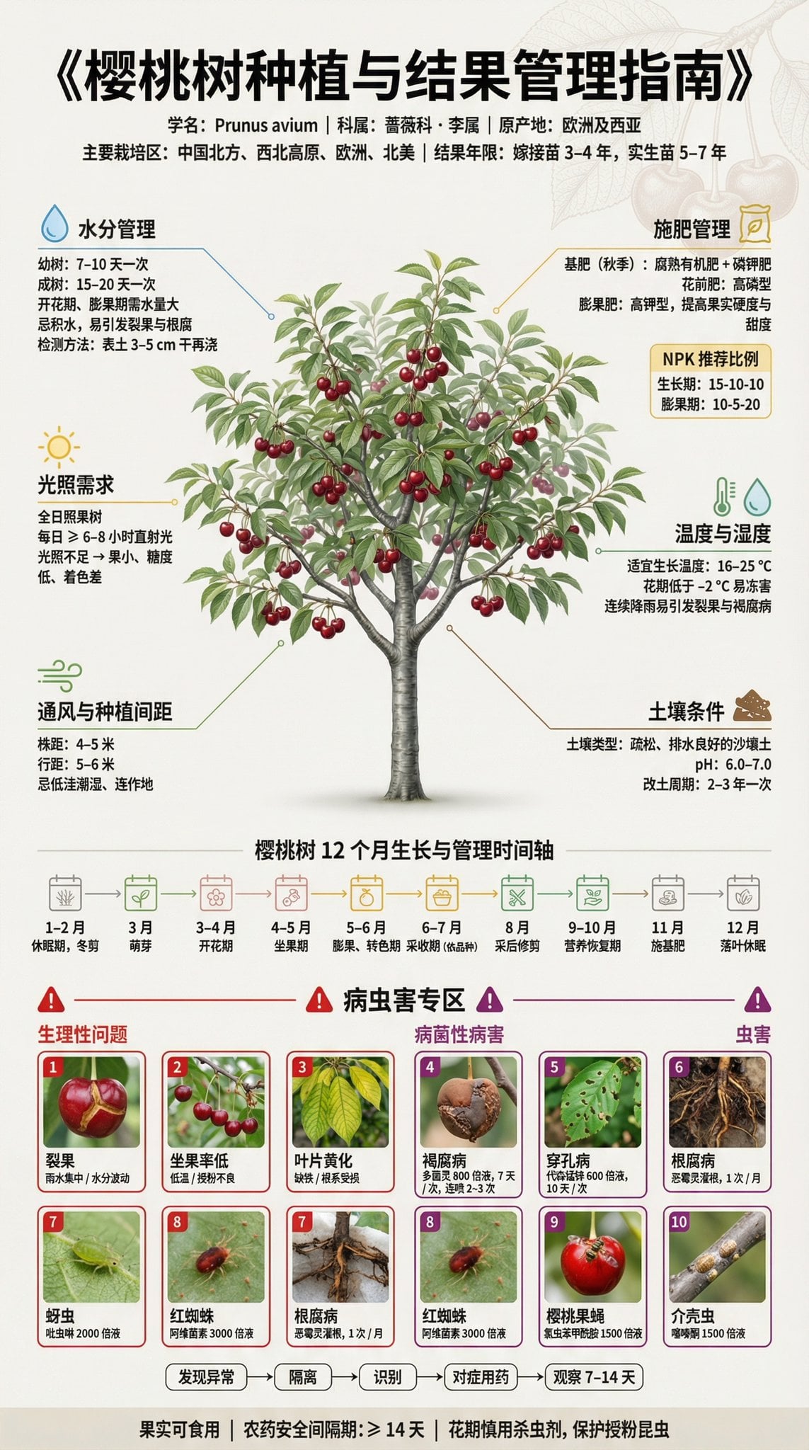 果树种植与结果管理科普展板 (4)